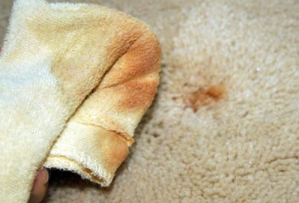 7 Ways to clean rust stains from carpet guided by KATAmats